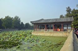 _DSC3067_bearbeitet-1