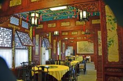 _DSC3125_bearbeitet-1