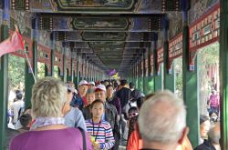 _DSC3165_bearbeitet-1