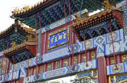 _DSC3187_bearbeitet-1