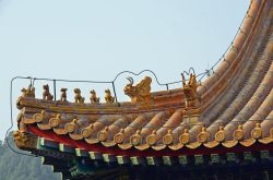 _DSC3191_bearbeitet-1