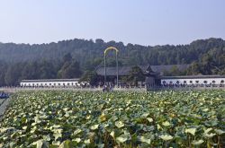 _DSC3255_bearbeitet-1