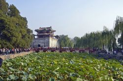 _DSC3264_bearbeitet-1