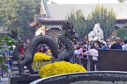 _DSC3305_bearbeitet-1