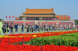 _DSC3461_bearbeitet-1