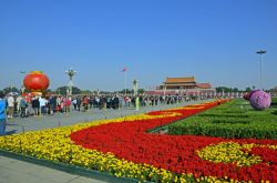 _DSC3465_bearbeitet-1