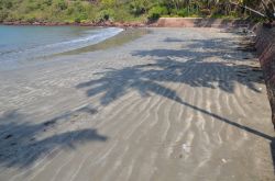 GOA_5765