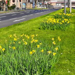 20200327_110757-EFFECTS