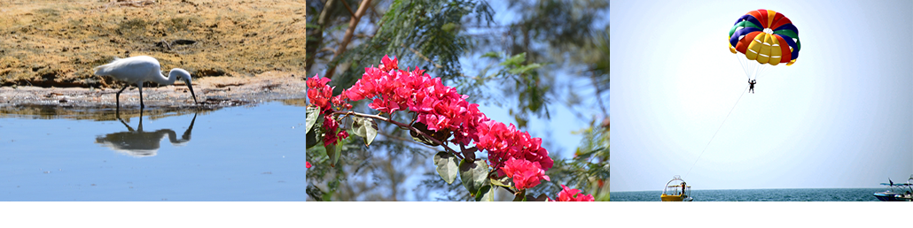 Masterpro Nivo Slider 3.x