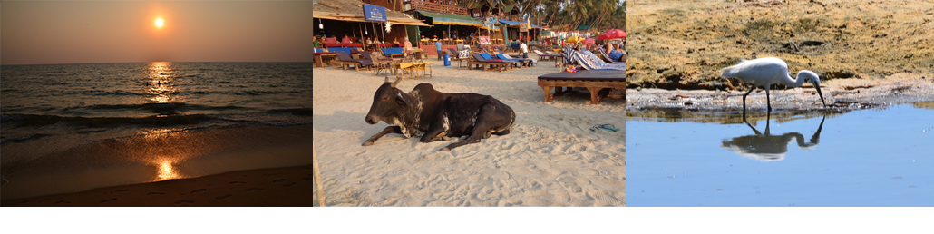 Masterpro Nivo Slider 3.x