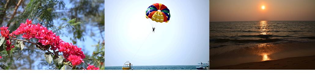 Masterpro Nivo Slider 3.x