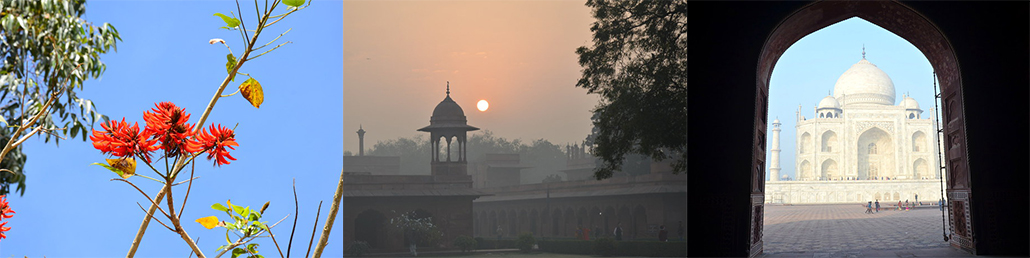 Masterpro Nivo Slider 3.x