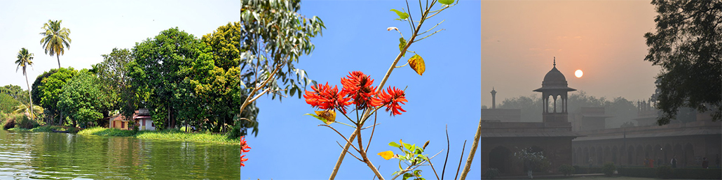 Masterpro Nivo Slider 3.x