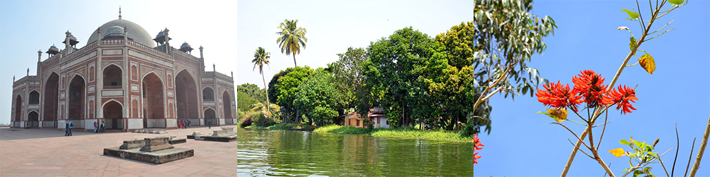 Masterpro Nivo Slider 3.x