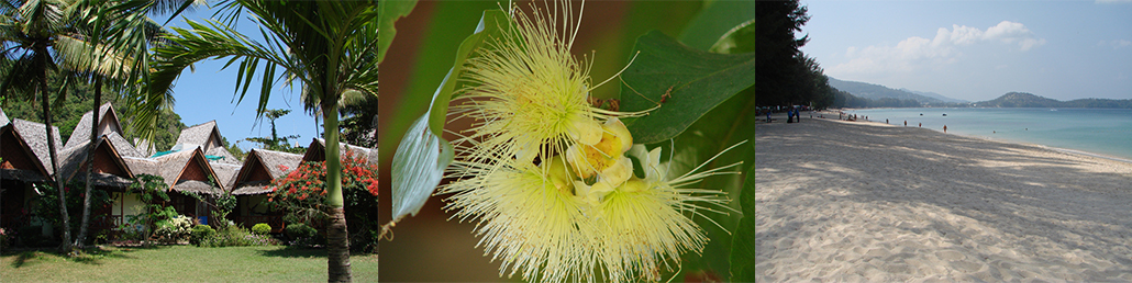 Masterpro Nivo Slider 3.x