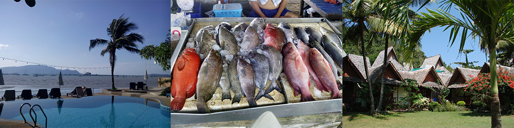 Masterpro Nivo Slider 3.x