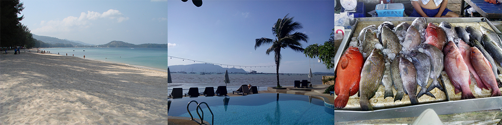 Masterpro Nivo Slider 3.x