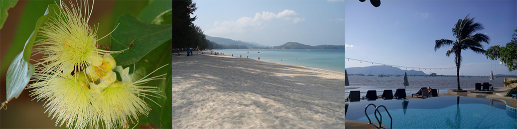 Masterpro Nivo Slider 3.x