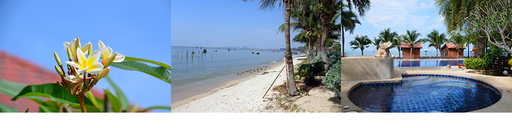 #nivocaption2_182 Masterpro Nivo Slider 3.x