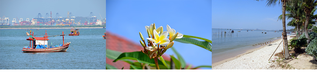 #nivocaption3_182 Masterpro Nivo Slider 3.x