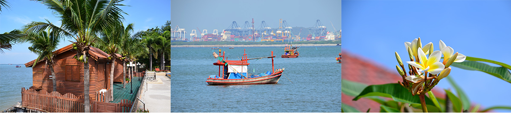 #nivocaption4_182 Masterpro Nivo Slider 3.x