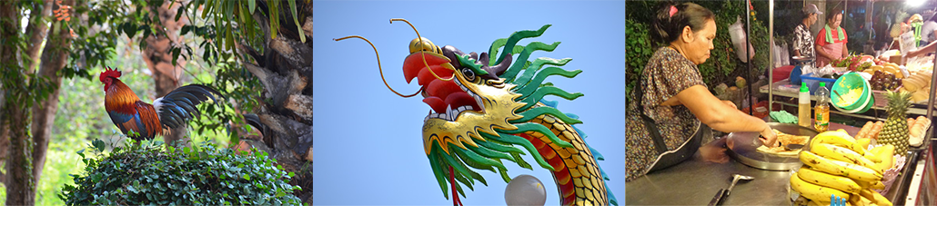 Masterpro Nivo Slider 3.x