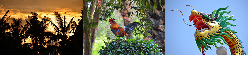 Masterpro Nivo Slider 3.x