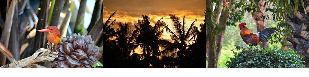 Masterpro Nivo Slider 3.x