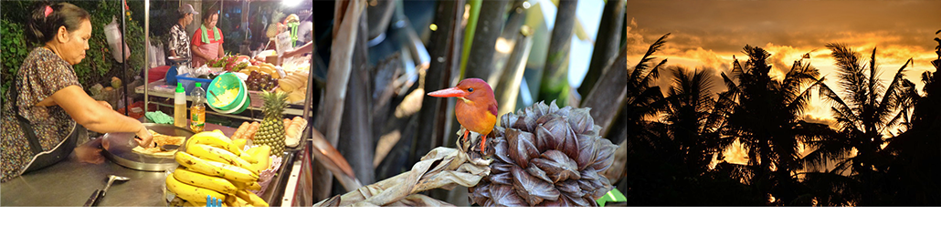 Masterpro Nivo Slider 3.x