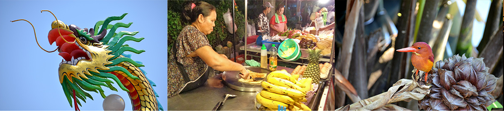 Masterpro Nivo Slider 3.x