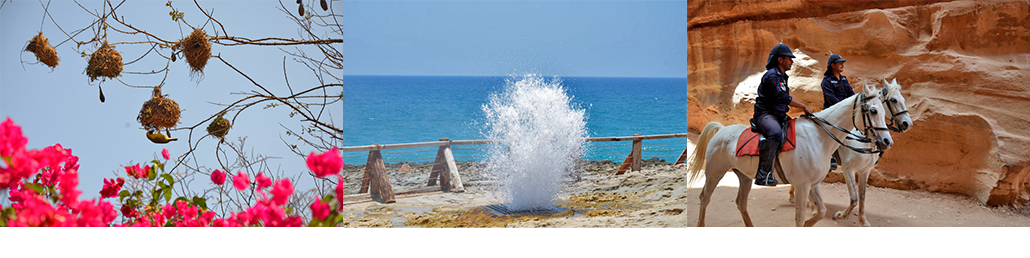 Masterpro Nivo Slider 3.x