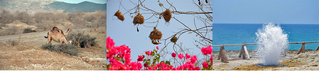 Masterpro Nivo Slider 3.x