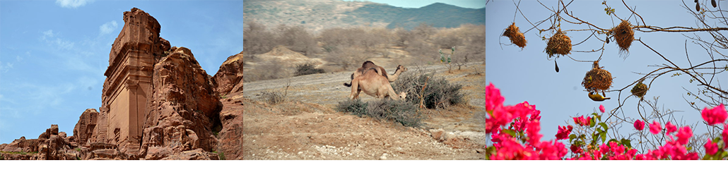 Masterpro Nivo Slider 3.x